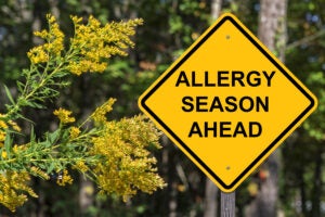 Allergy season sign